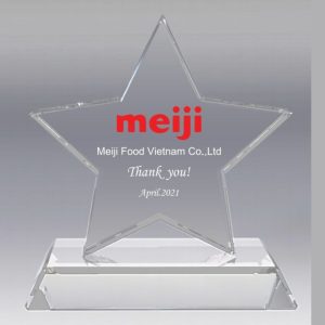 Kỷ Niệm Chương Ngôi Sao - Mẫu 01