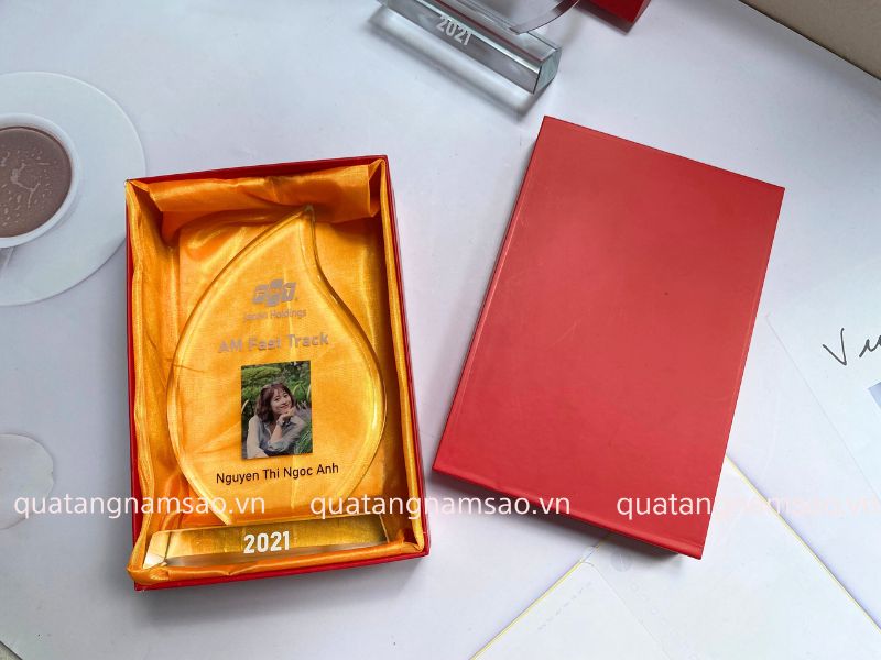 kỷ niệm chương in ảnh