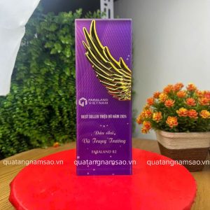 Kỷ Niệm Chương In Logo - Mẫu 19